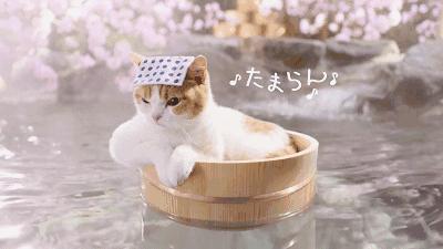 上海泡温泉一日游攻略,江浙沪冬季适合泡温泉旅游攻略