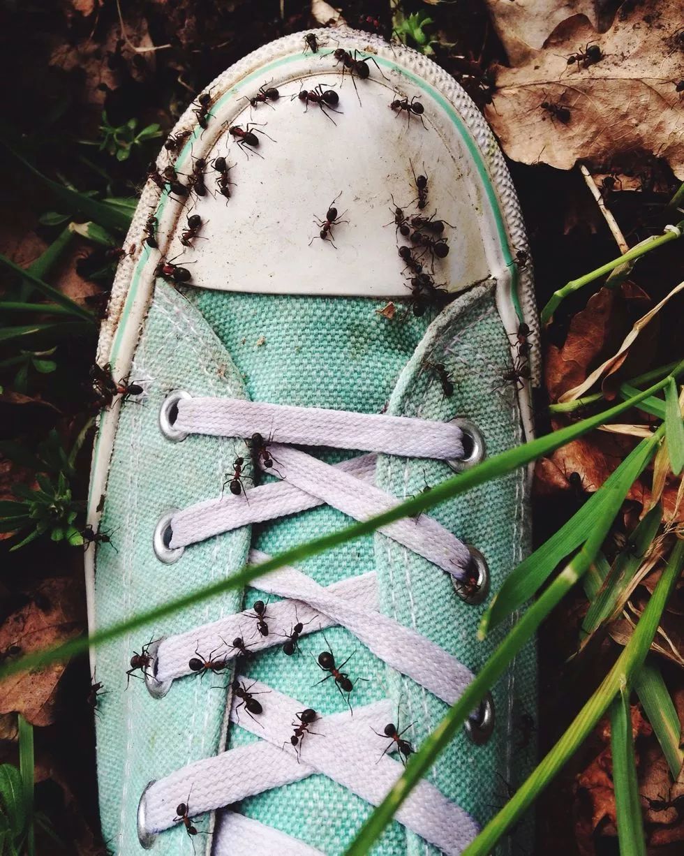 聊一聊焦虑症,千奇百怪的恐惧症