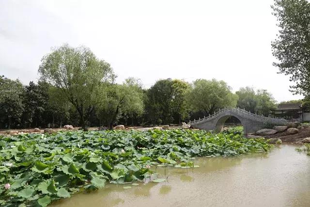 红蓝绿黑你喜欢什么色,红绿蓝清新配色