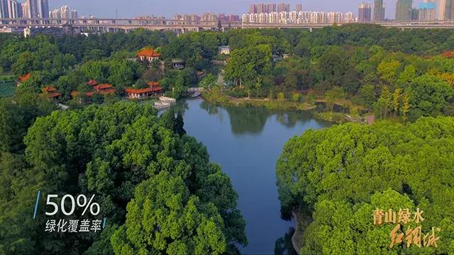 红蓝绿黑你喜欢什么色,红绿蓝清新配色