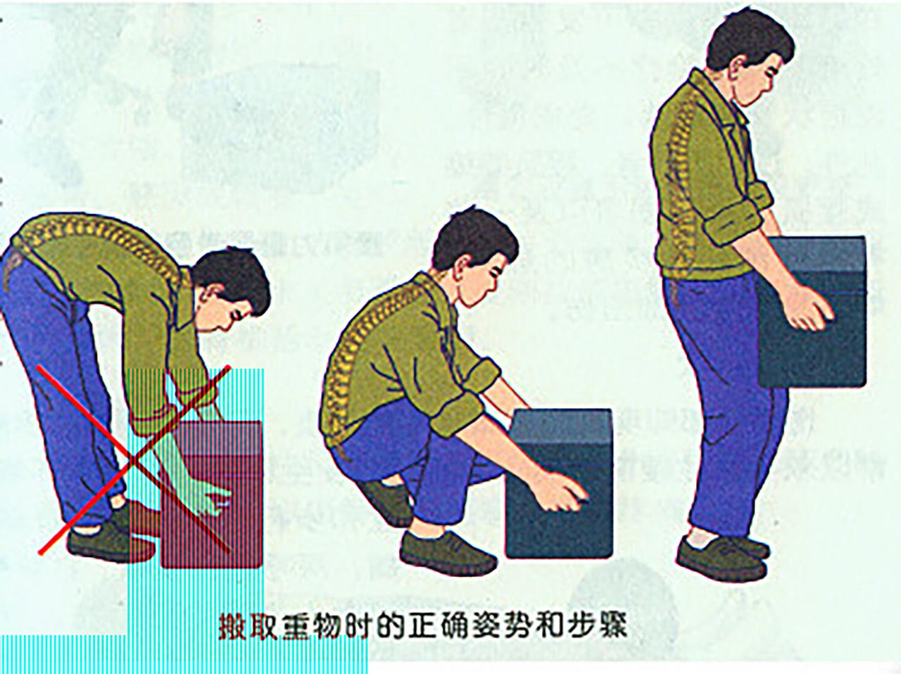 如果搬砖工人每天喝1勺蛋*粉白**，他们的肌肉会发生哪些变化？