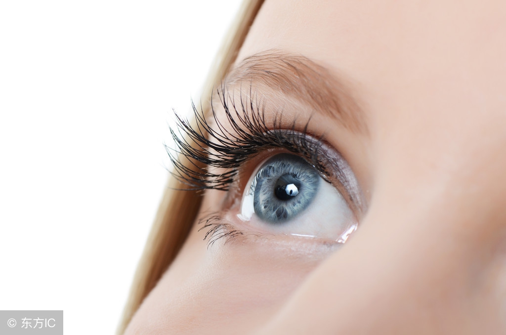 种睫毛为什么会掉自己的睫毛,种睫毛危害原理