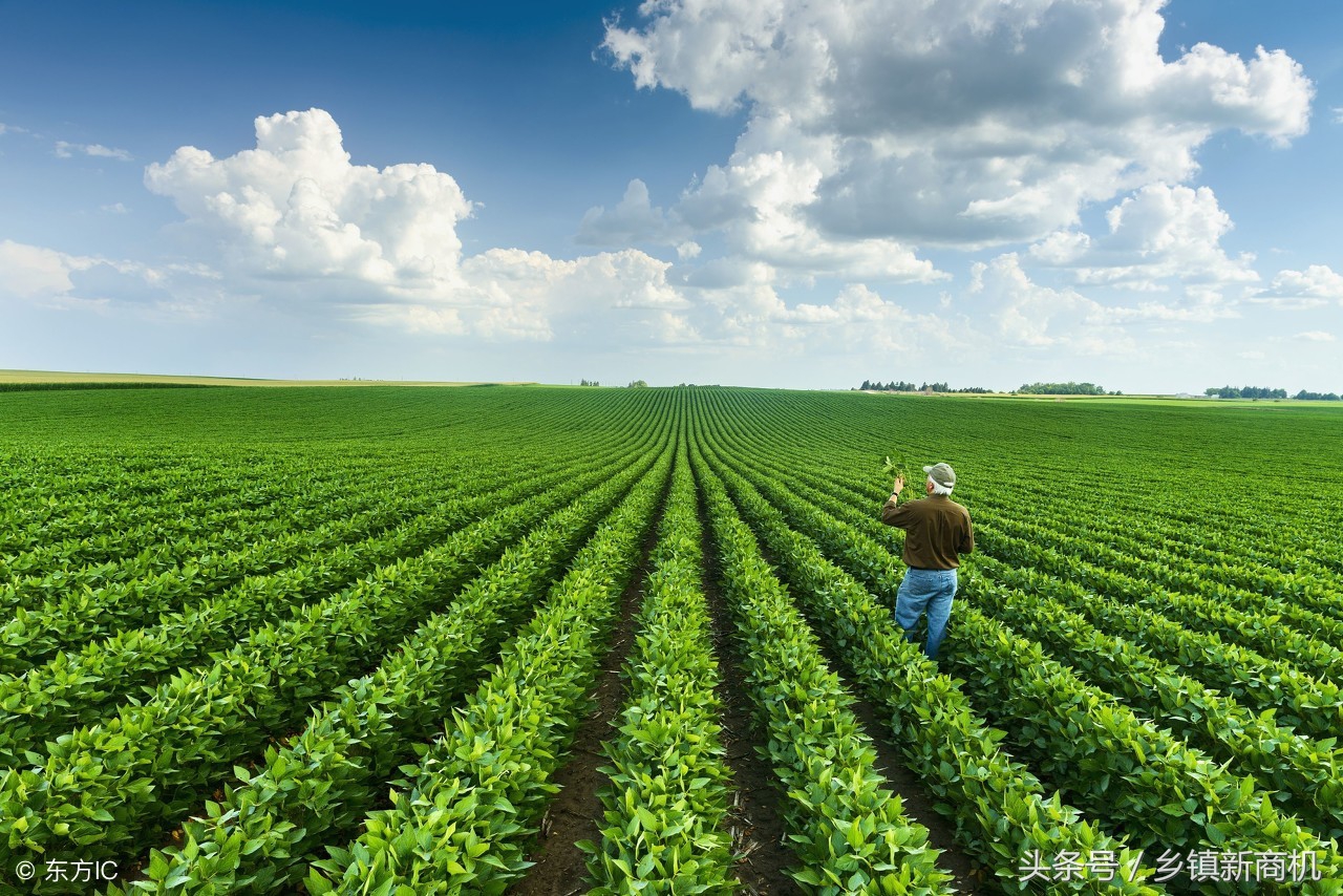 乡镇不起眼的暴利小生意大全,农村不起眼的商机2019