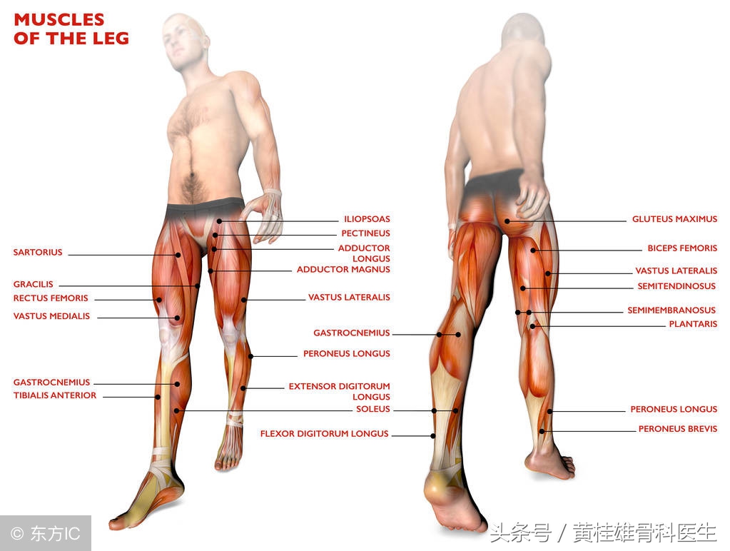 肌腱损伤康复手指,肌腱康复训练手指恢复