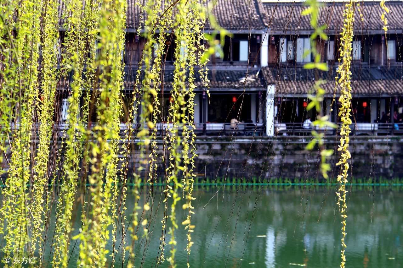 你心中的江南是怎样的？余光中笔下的江南：是山水是爱人是母亲