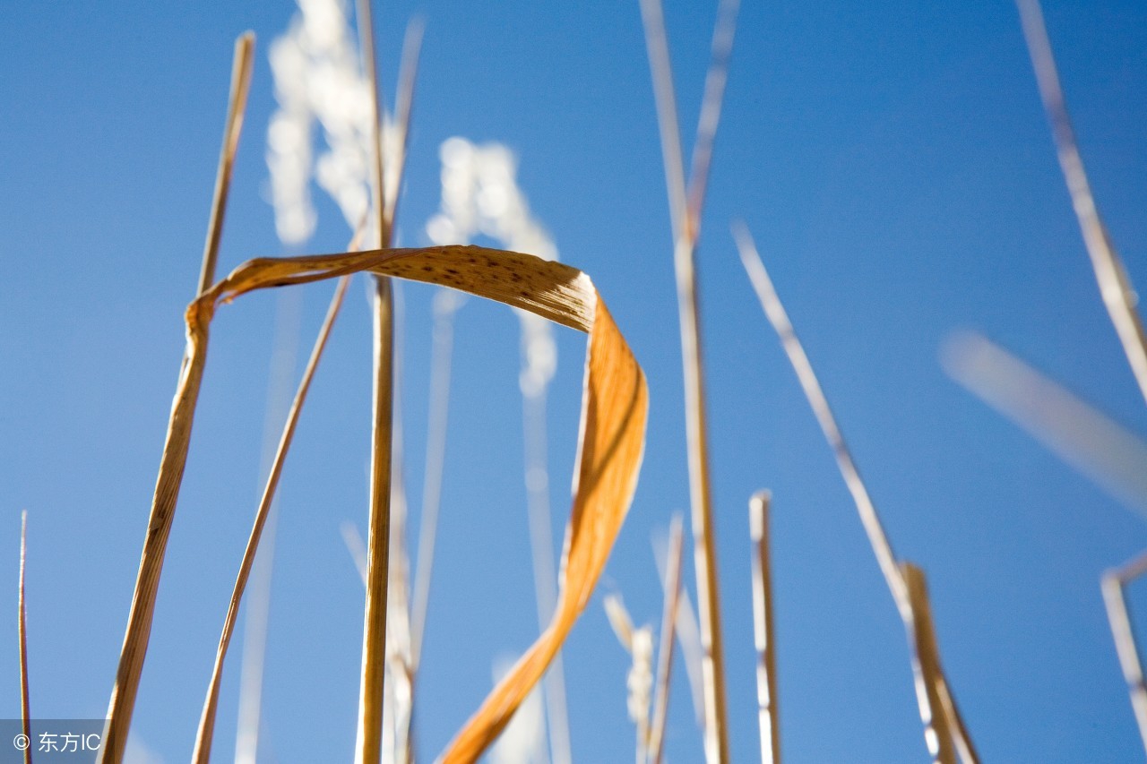 一招教你解决嘴唇干裂出血,有什么方法改善唇裂