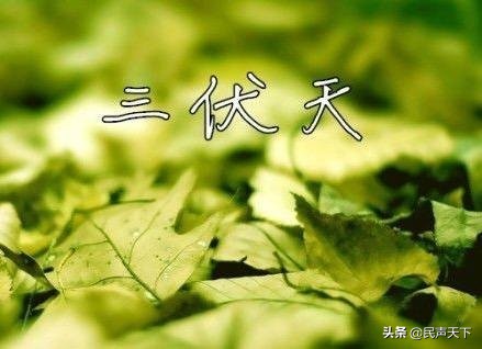 开始“数伏”！今年“伏天”为何又是40天？你想知道的都在这里