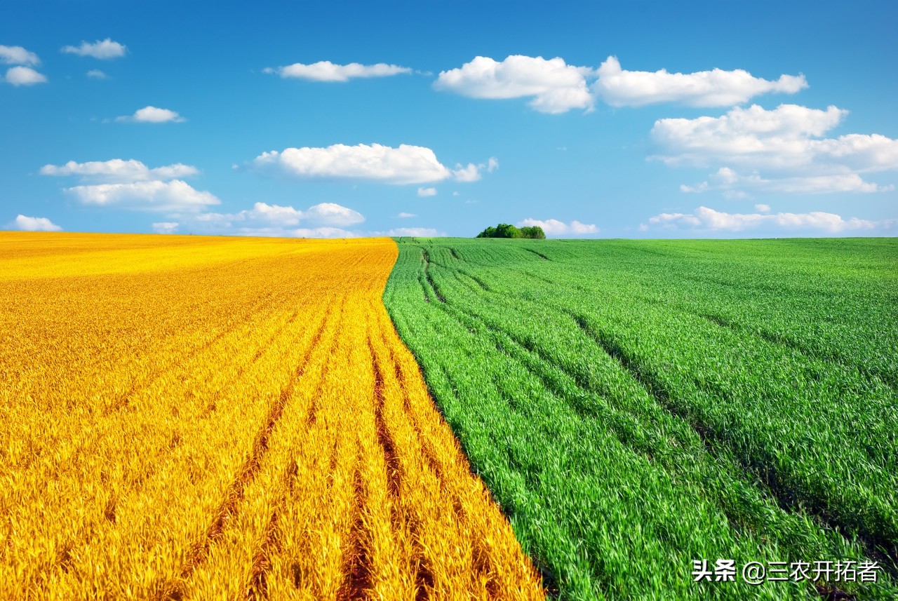 温室农业发展条件及优势,印度农业发展的优势