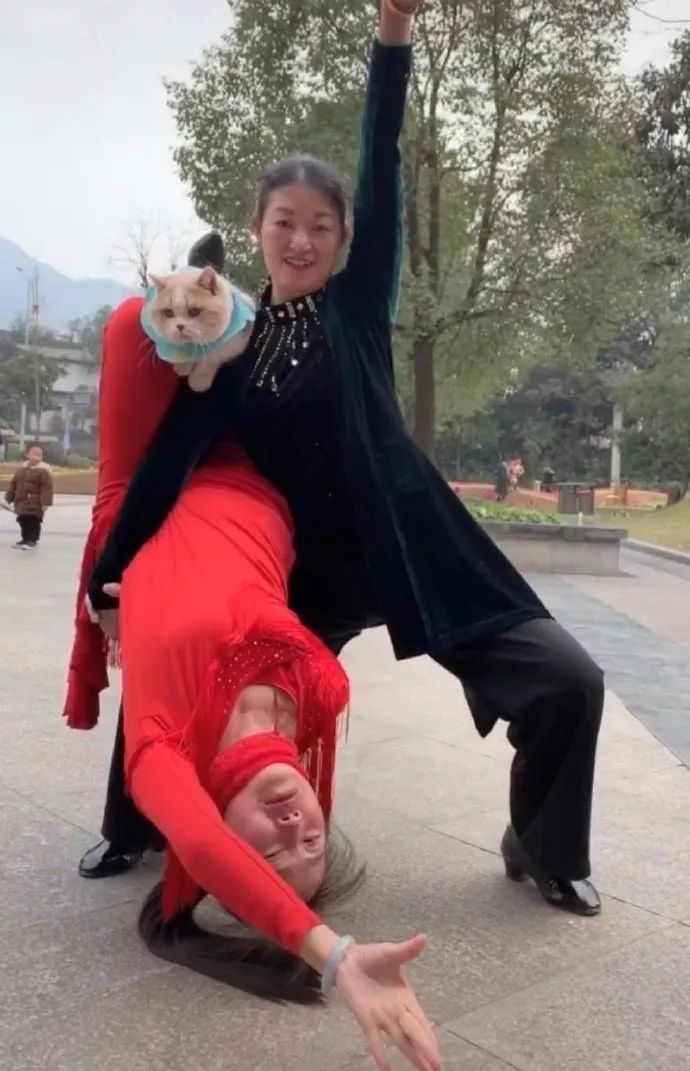 鱿鱼墨鱼乌贼八爪鱼章鱼的区别,墨鱼与鱿鱼章鱼八爪鱼有什么区别