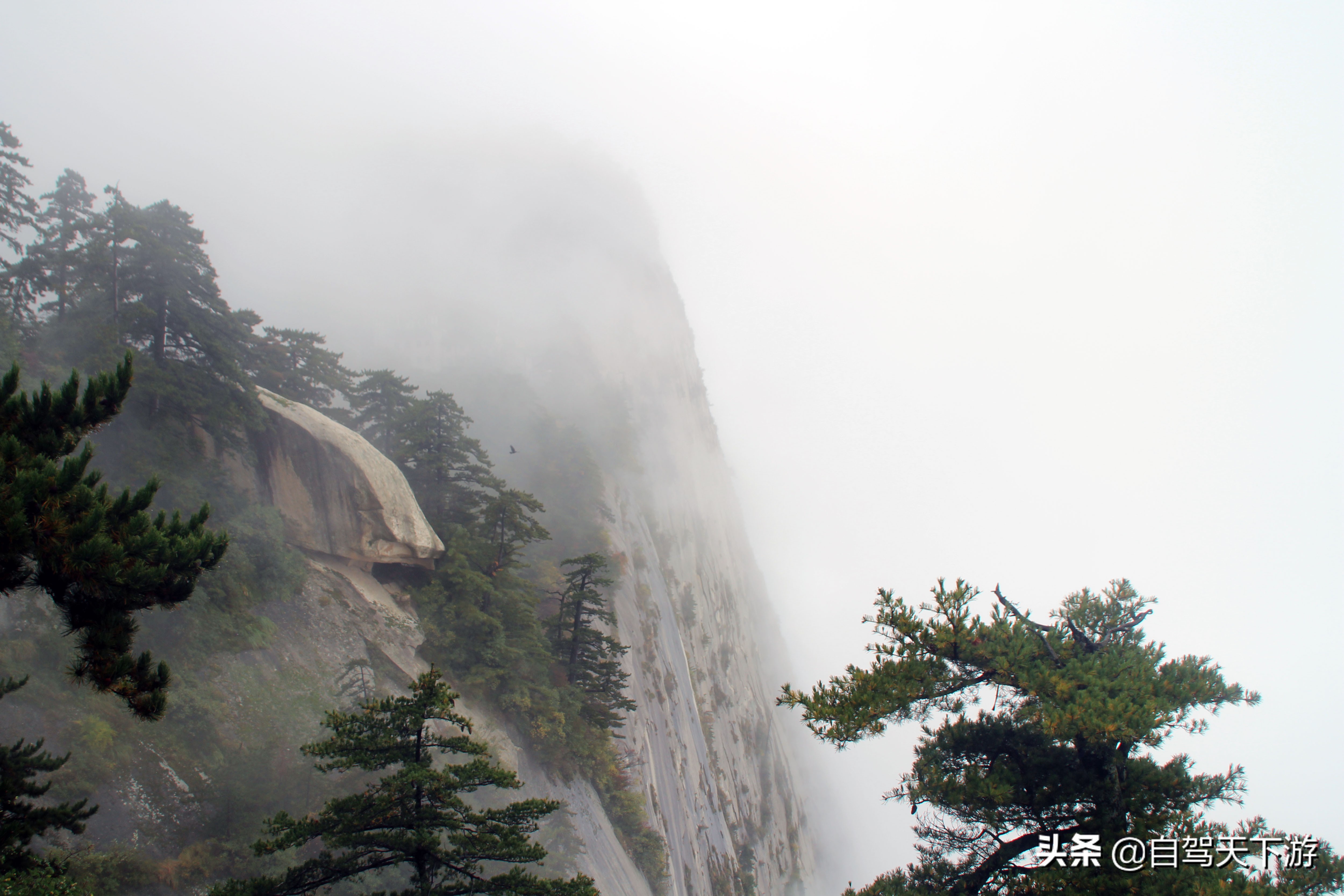 华山五岳哪座最值得去,西岳华山旅游攻略详细