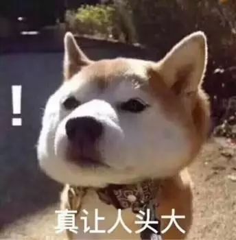 犬瘟病毒在室温下存活多久,狗狗感染犬瘟病毒症状