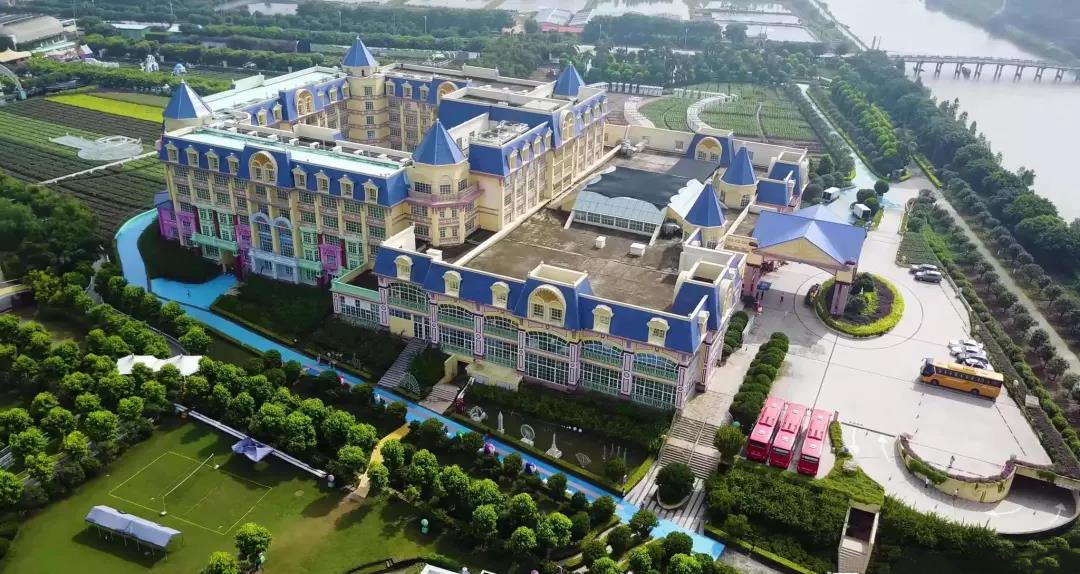 南沙百万葵园玩的景点推荐,广州南沙百万葵园