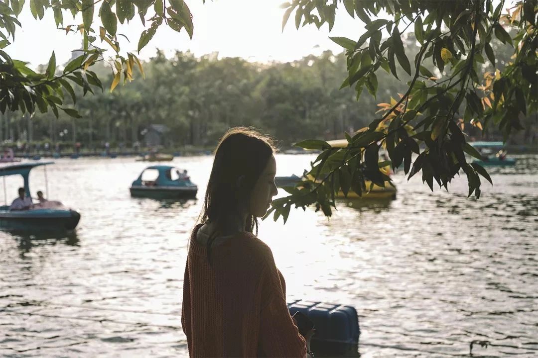 深圳旅游攻略地铁沿线景点,深圳市地铁2号线打卡的24个景点