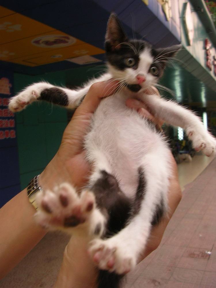 警惕网购陷阱视频直播,当心网购新骗局