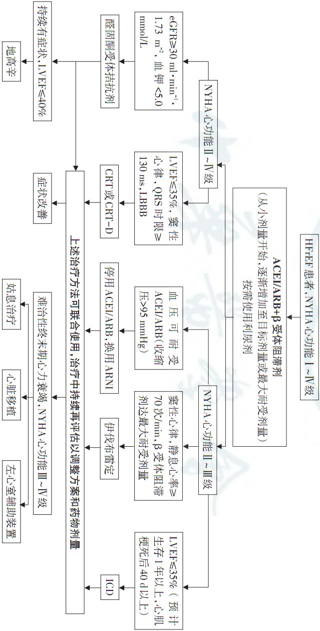 2018心力衰竭诊断与治疗指南解读,中国心力衰竭诊断与治疗指南2019