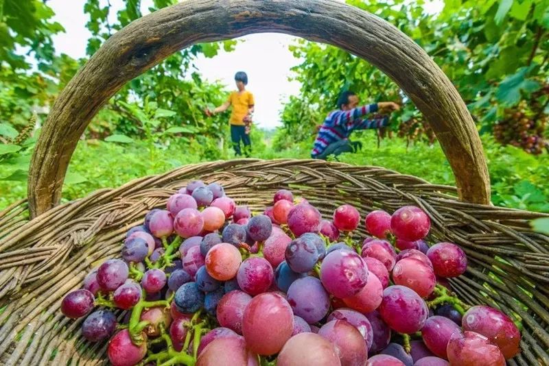 商丘五星级酒店投资多少钱,商丘星级酒店项目
