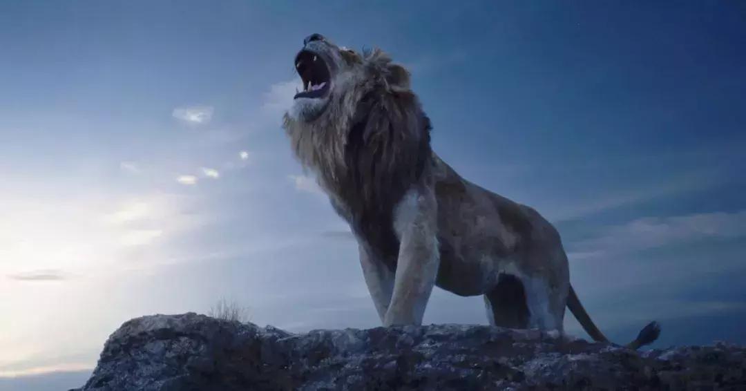 狮子王到底返不返场,狮子王口碑