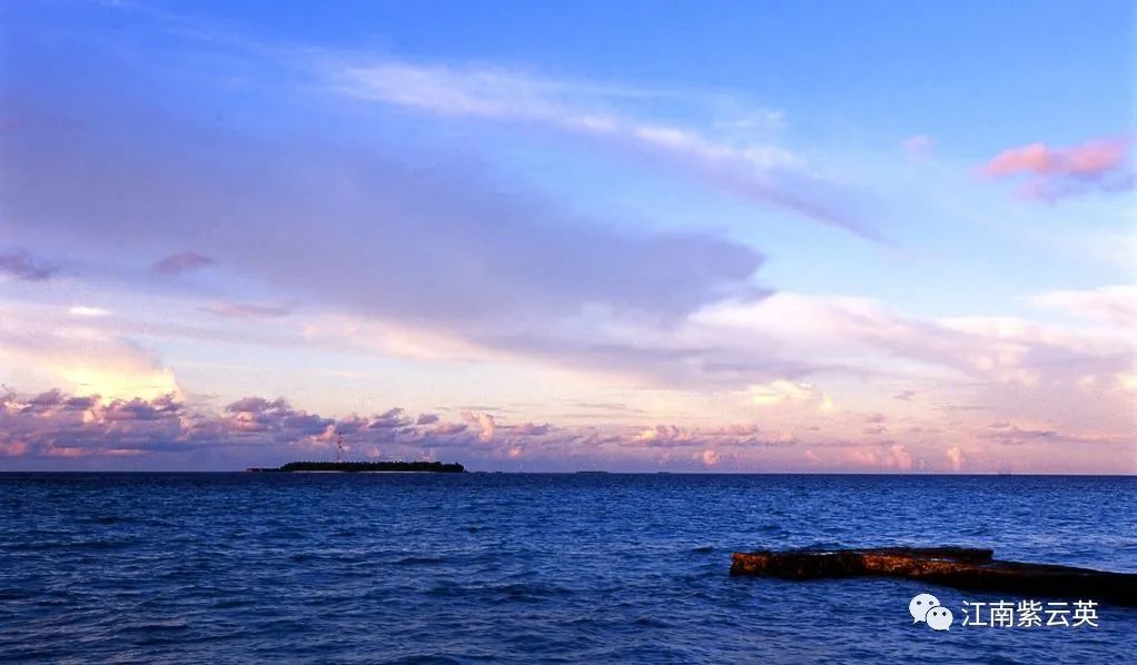 随笔在风华正茂的日子里迷途知返,随笔每一个孩子都值得期待