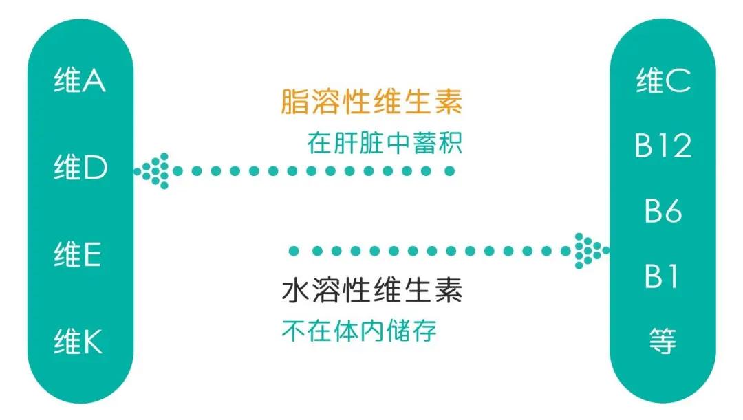补维生素b猫咪不容易得猫癣,食补补充猫咪的营养