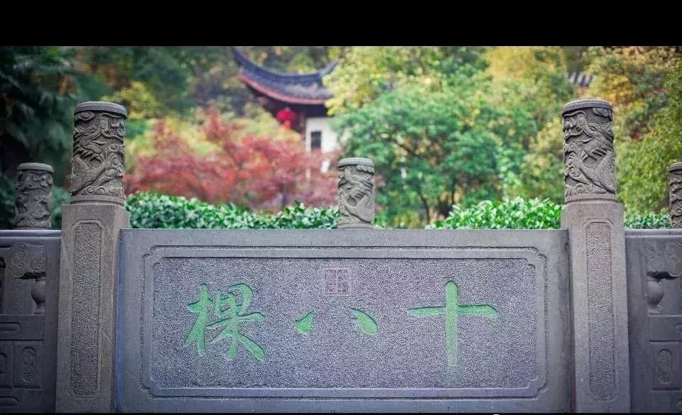 据说这是最贵的十款茶,你知道全球最贵的十种茶吗