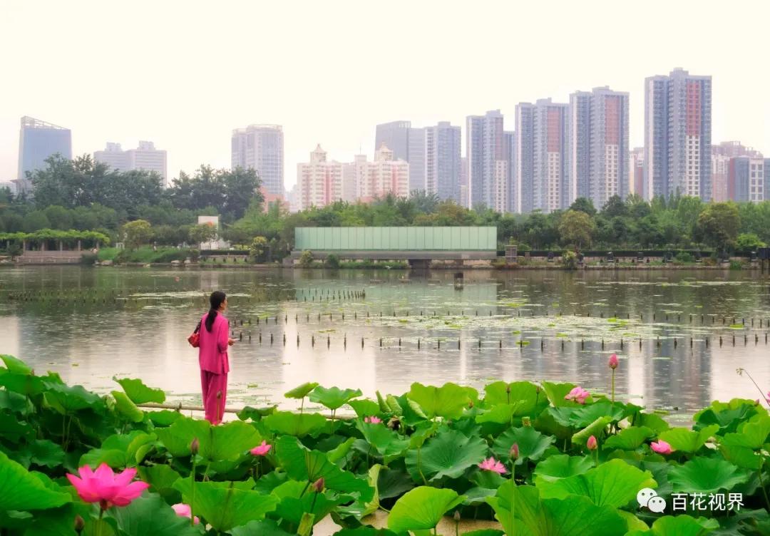 邯郸市女性摄影家,邯郸市女子摄影协会