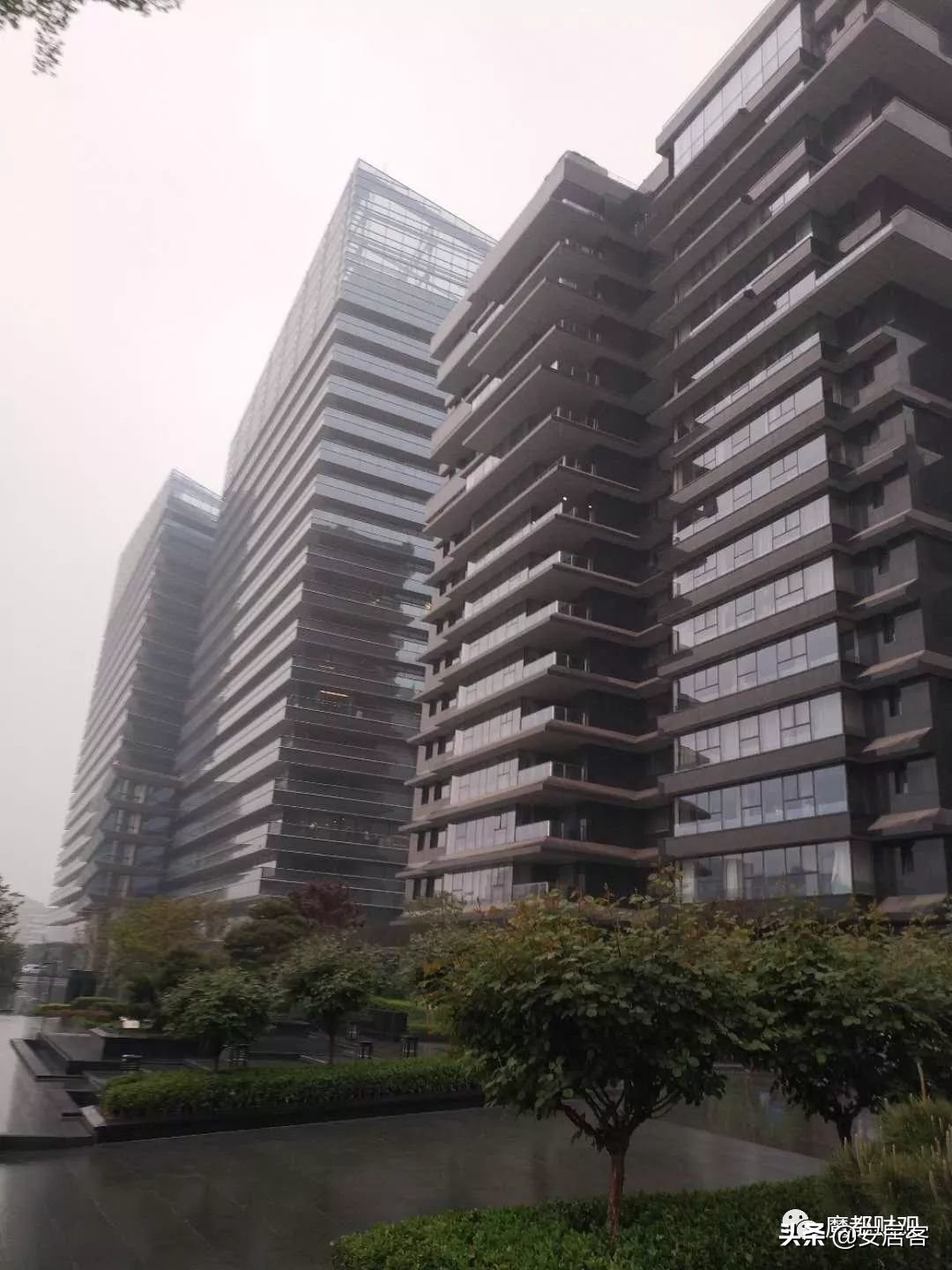 十年后嘉兴平湖房价翻倍可能吗,哪个城市房价目前降得最多