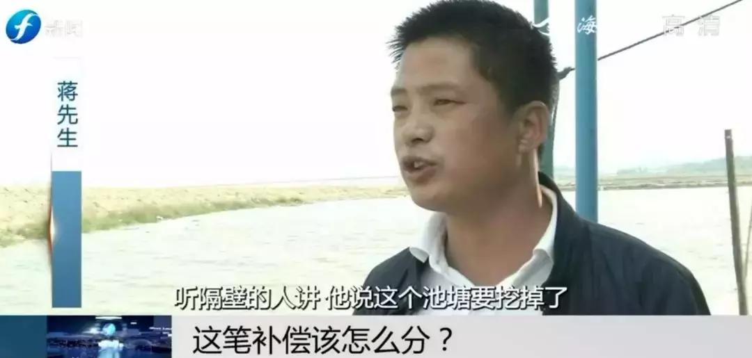 闹心|眼看快收成了,却遇上了麻烦事!这笔清退补偿究竟该怎么分?