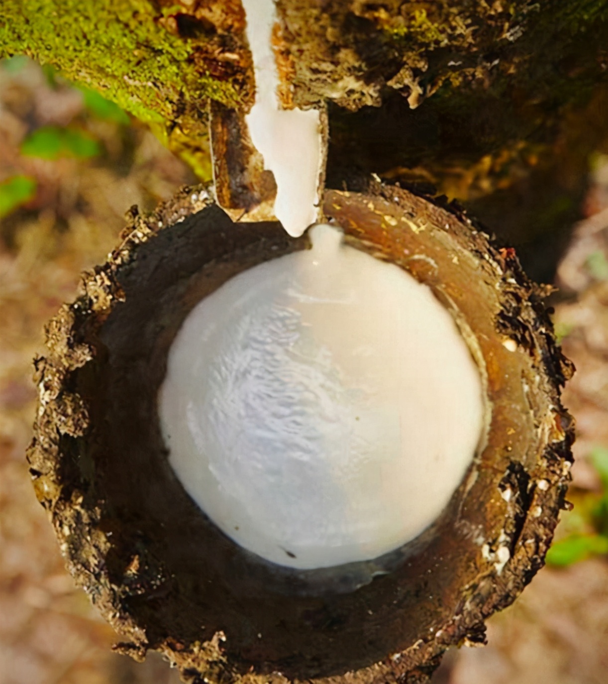 马来西亚床垫品牌排行榜,马来西亚旅游乳胶床垫