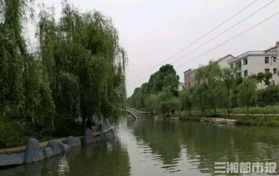 【网约湘游】南芙山庄——人间四月芳菲尽，南国芙蓉始盛开