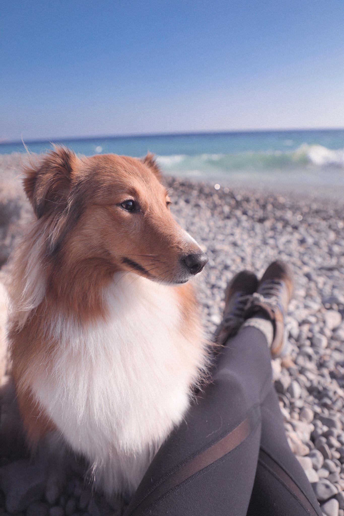 穿着徒步鞋去和爸爸爬山,merrel登山鞋男