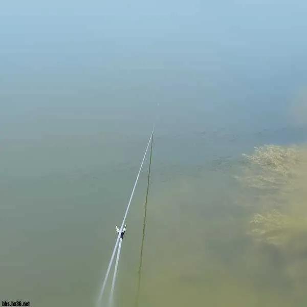 摩羊工坊|春满江湖泡钩钩，巧遇钓友改手把