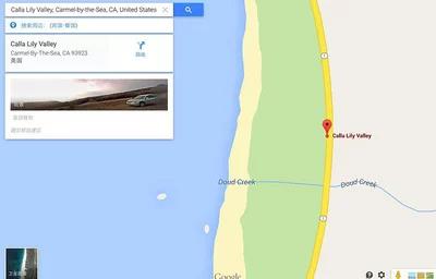 马蹄莲观赏内容,一盆马蹄莲