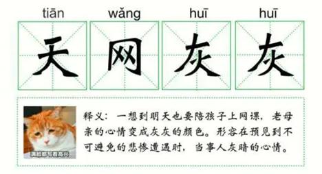 父母太负责任,是崩溃的根本原因!学会抓大放小,才能跳出来