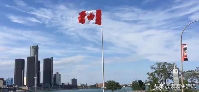 疫情导致新西兰龙虾滞销,疫情期间中国进口龙虾