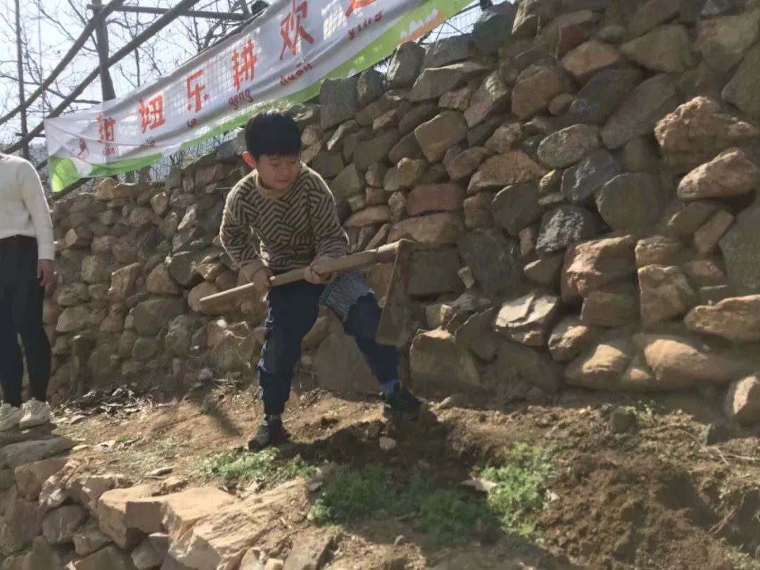 春暖三月“挖野菜”祖孙三代齐欢乐