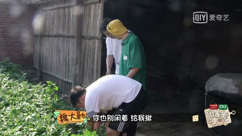 魏大勋孟宴臣圈粉多少,魏大勋最近新综艺节目