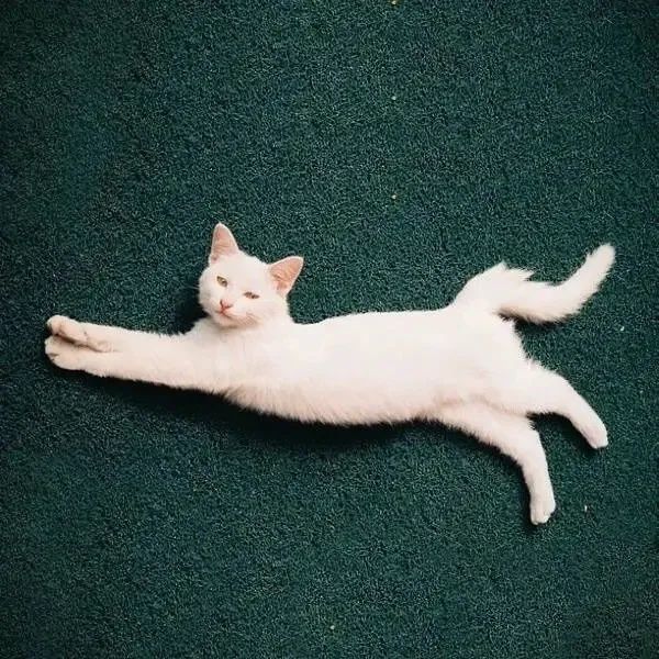 好听又有意义的微信号数字,怎样取微信号好听又有意义男生