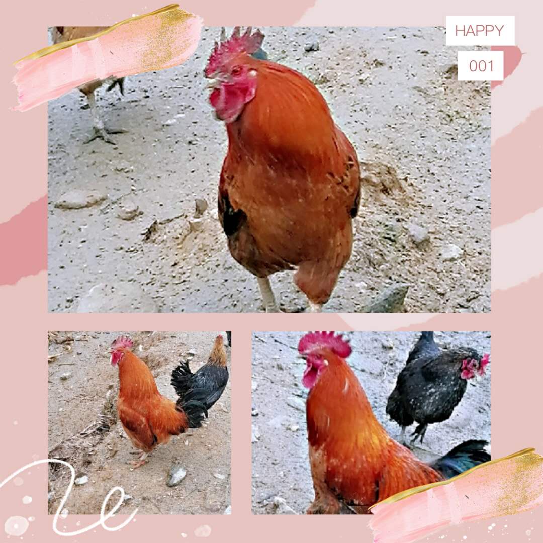 长沙周边农家乐一日游推荐第一名,长沙农家乐好玩的地方推荐一日游