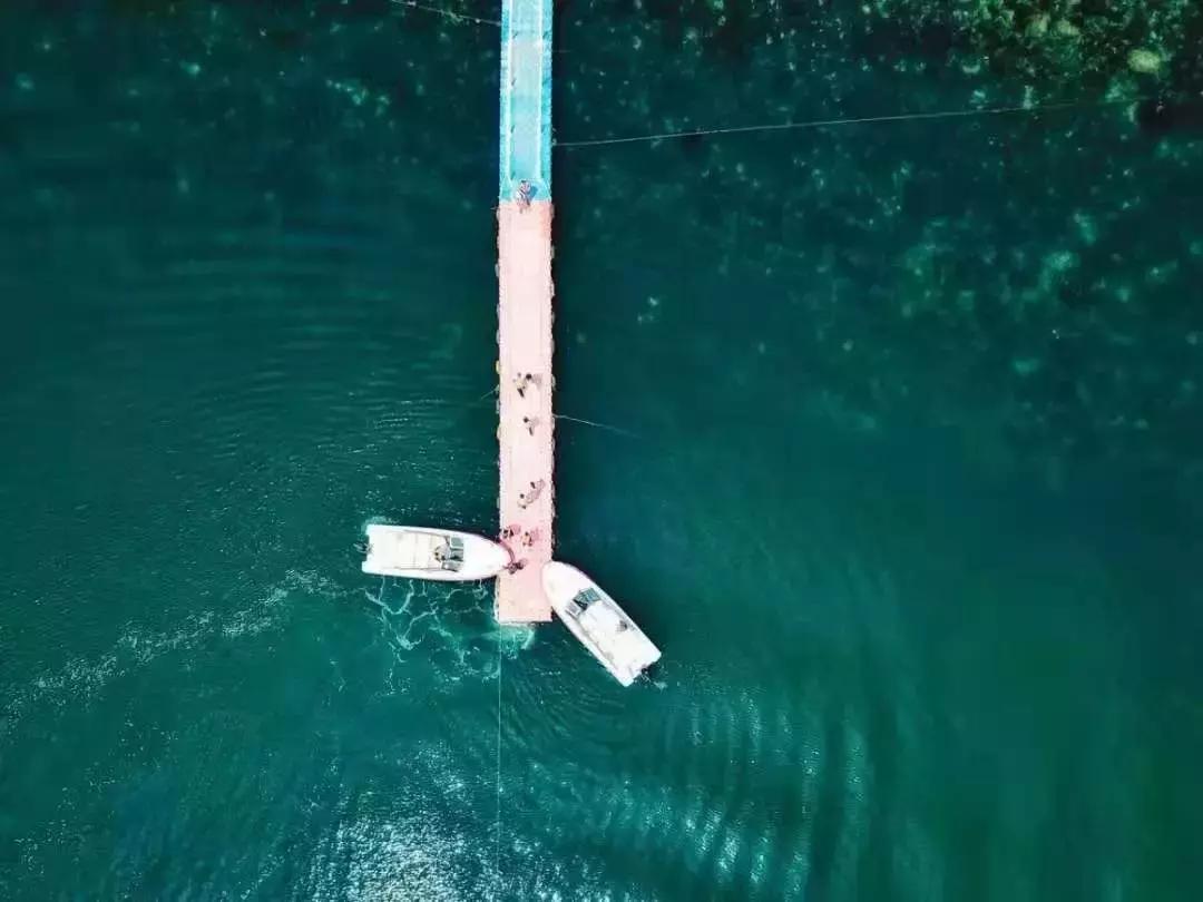 前方高能预警,前方高能预警有多高能