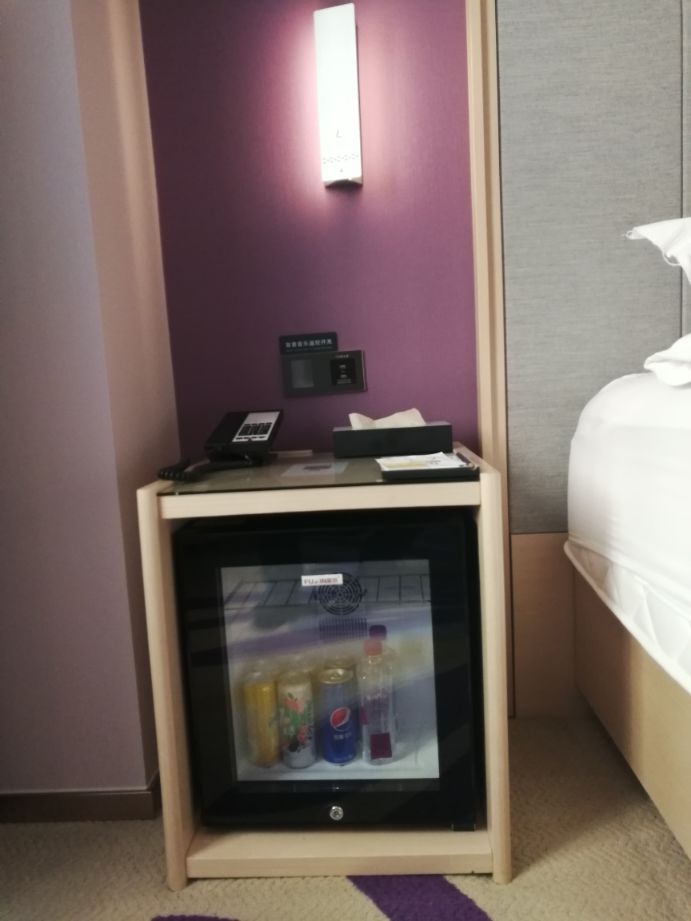 吉林丽枫酒店婚房,丽枫酒店全国出行入住人数