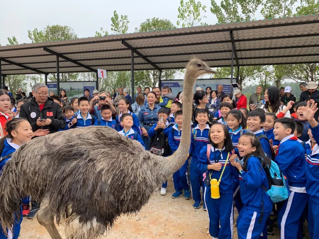 洋沙湖研学基地在哪里,洋沙湖岳阳研学