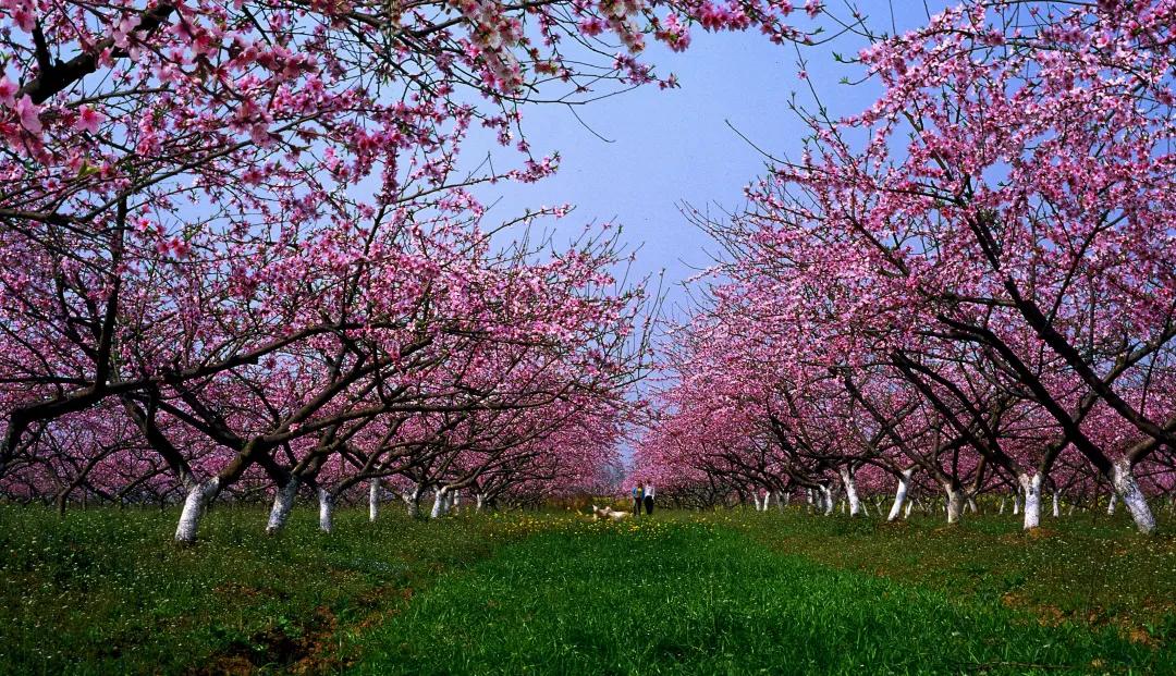 潜江旅游景点推荐,十堰至潜江路途旅游景点