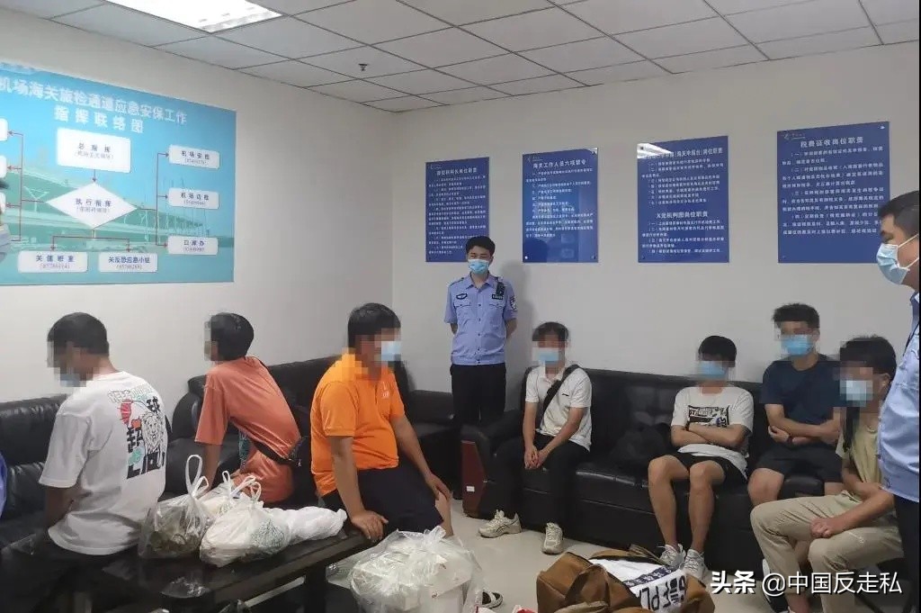 国门利剑缉私案件,黄埔海关国门利剑2018打击成品油