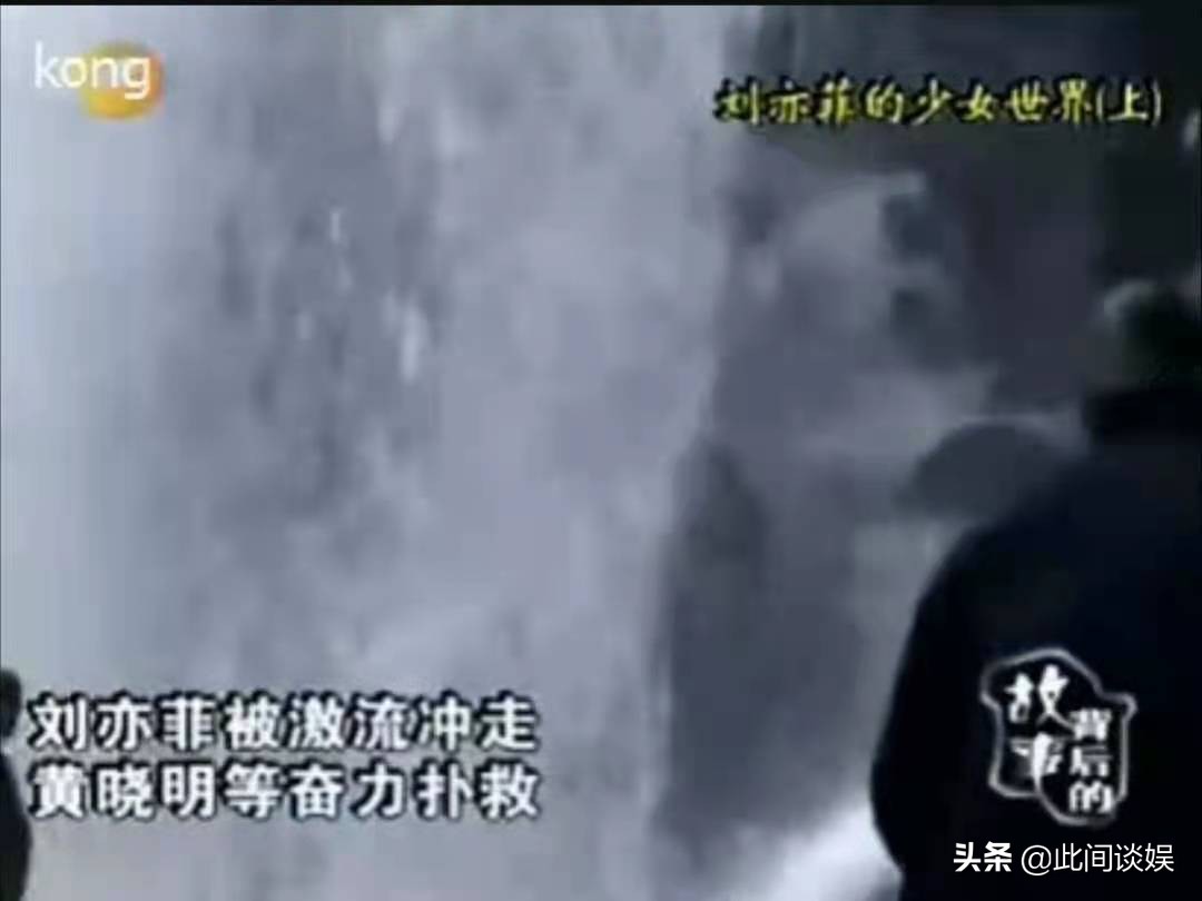 刘亦菲的人生有多好,刘亦菲的人生选择