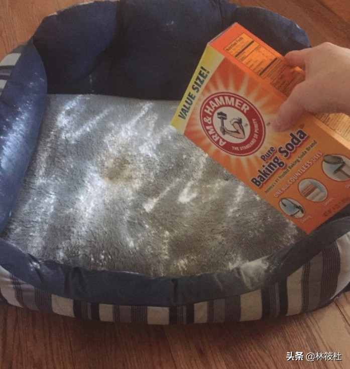 日常生活中的小苏打,最新生活小窍门小苏打