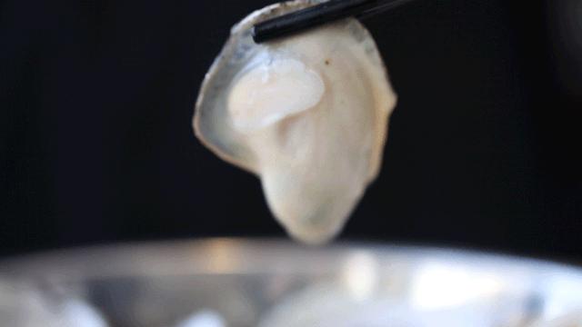 宝安人的顺德饭堂，生蚝用木桶蒸，还加黑松露