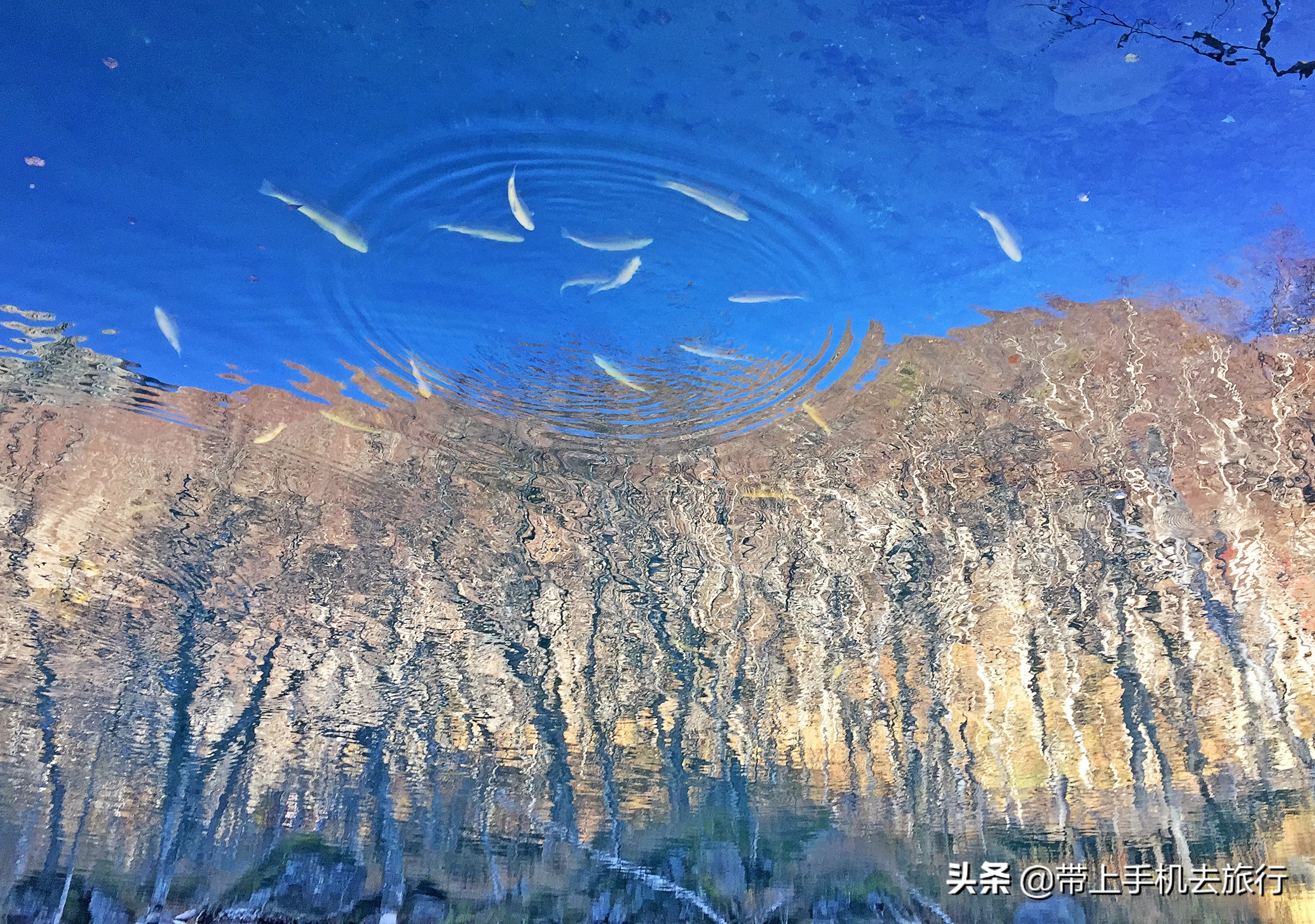 手机拍摄照片如何镜面反射,手机拍照怎样调节镜面反射