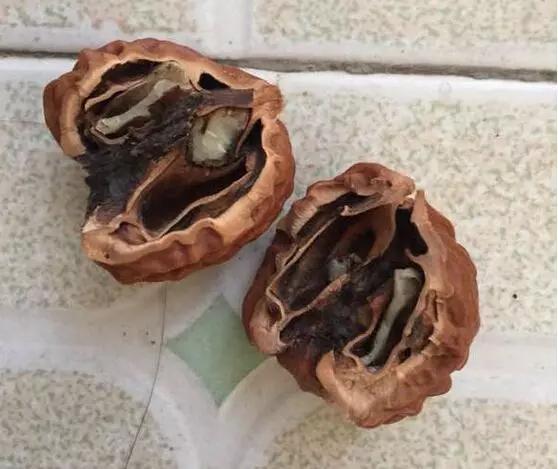 核桃裂尖怎么补救,核桃裂了还有价值吗