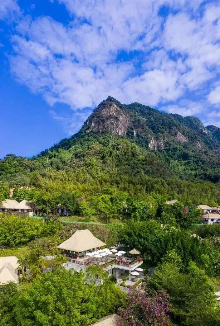 广东省内海拔最高的5星温泉金叶子，高山温泉+房间温泉一并拥有