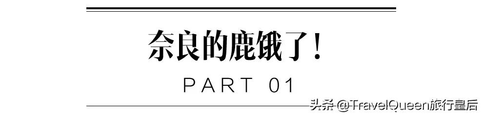 如果没有中国游客，世界该有多无聊